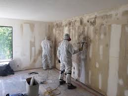  Lake Landor, VA Mold Remediation Pros